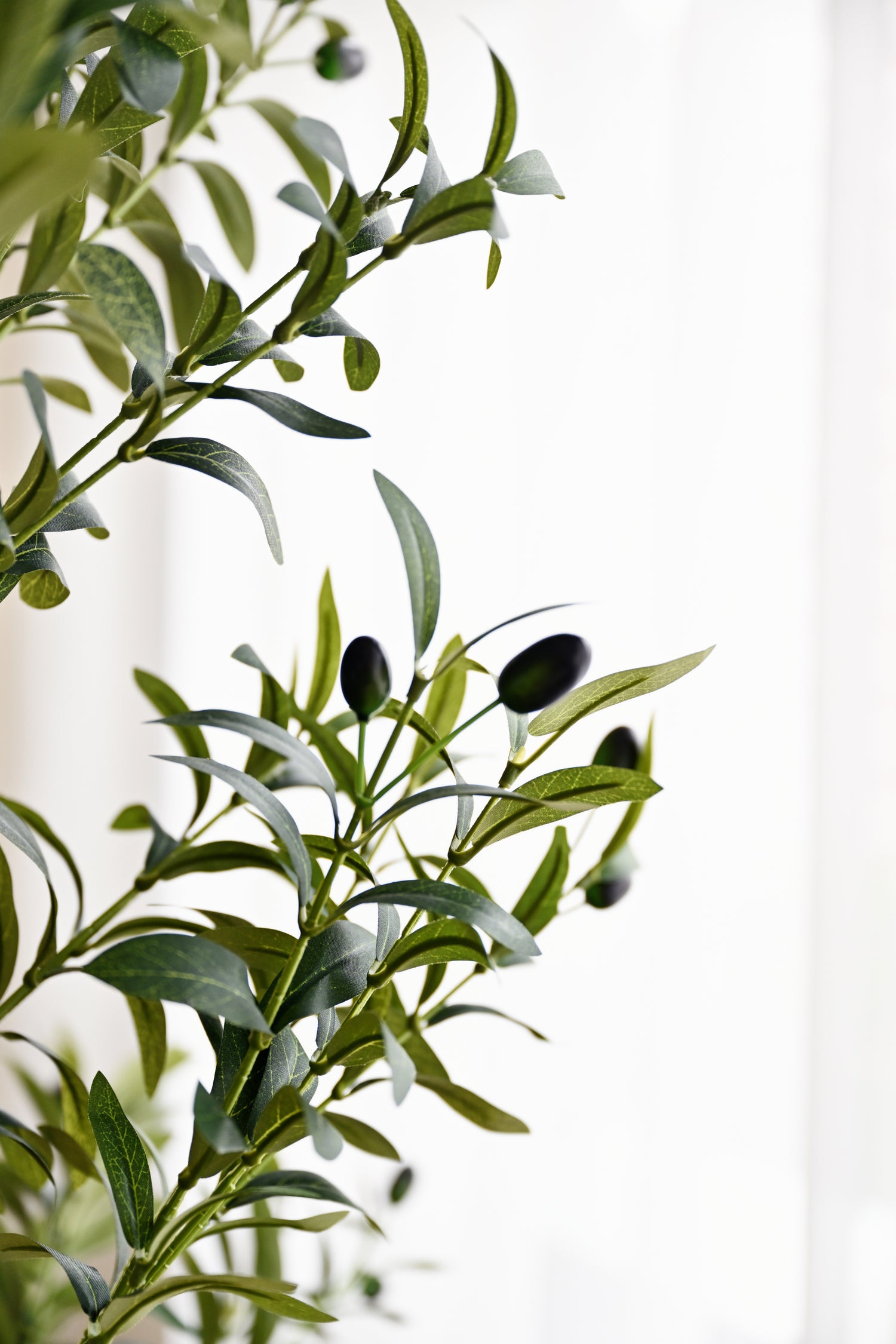 Olive Plant Tree - Faux 6