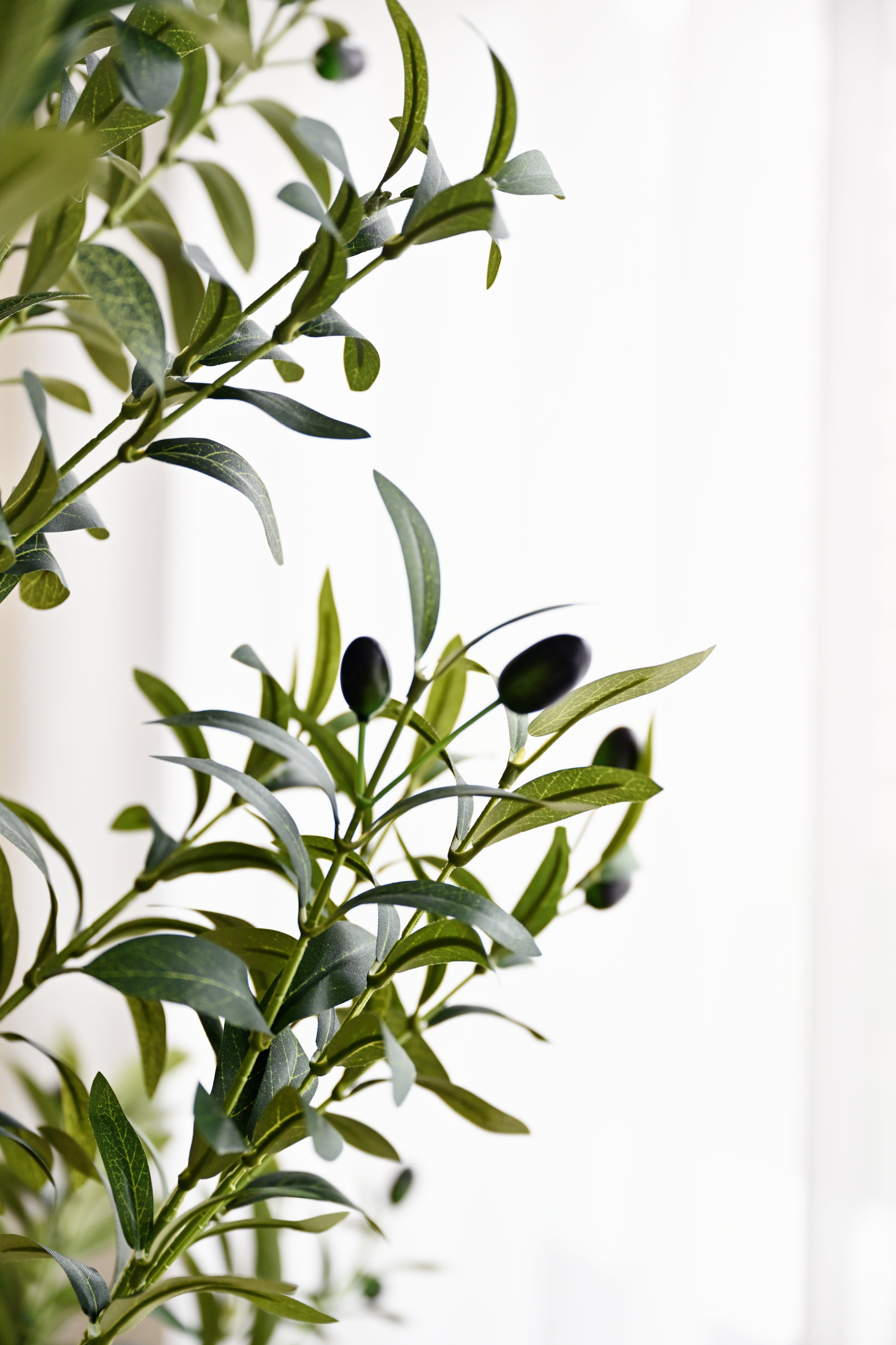 Olive Plant Tree - Faux 6
