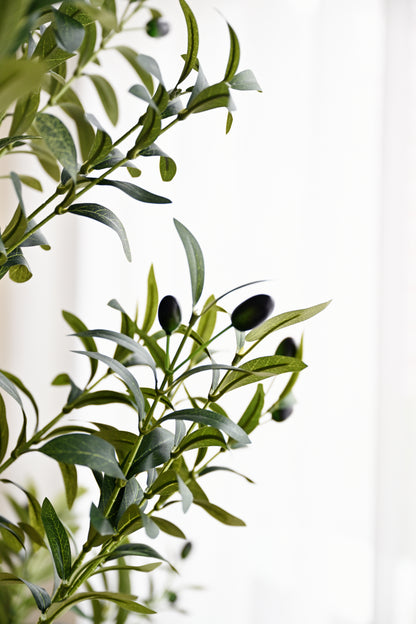 Olive Plant Tree - Faux 6