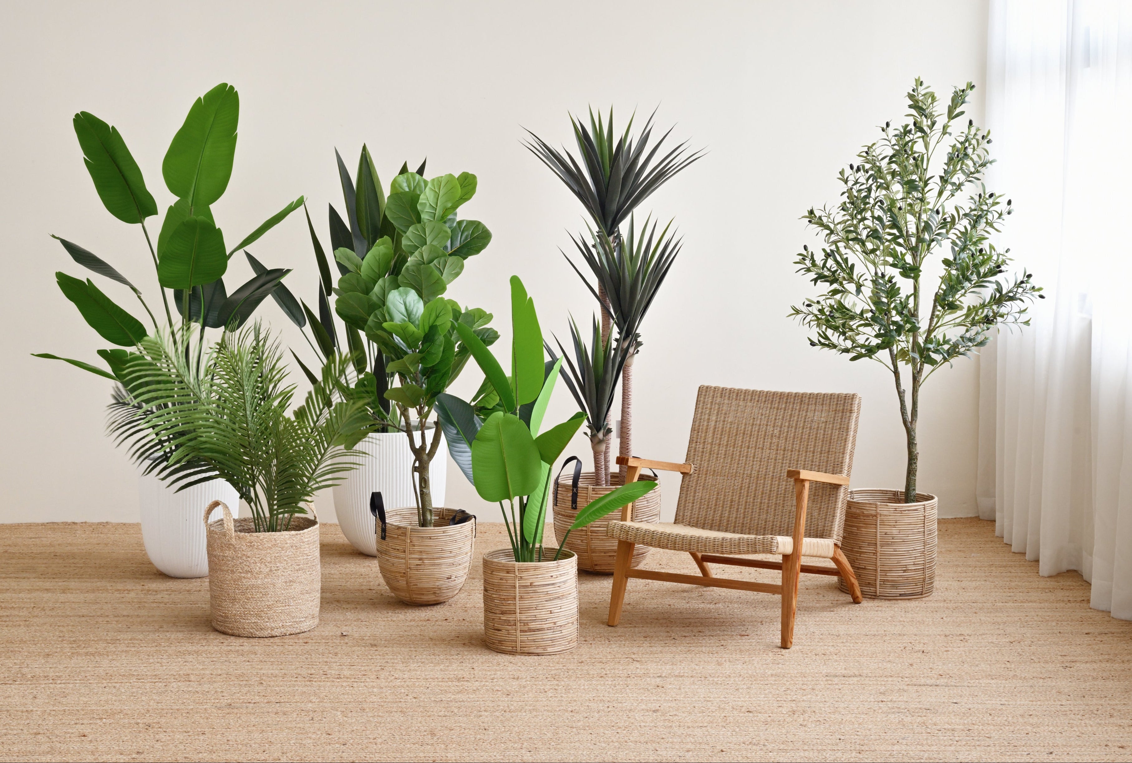 Olive Plant Tree - Faux 7