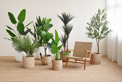 Olive Plant Tree - Faux 7