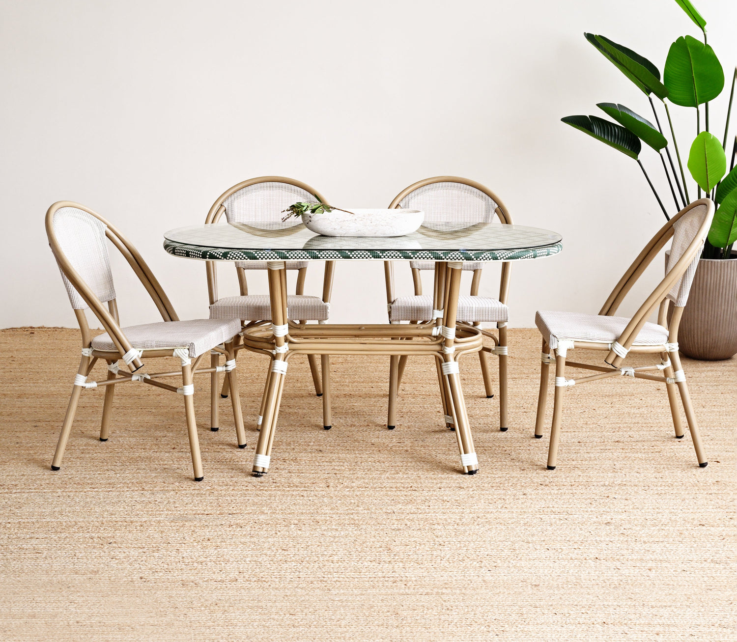 Dining table with chairs in a room with a plant