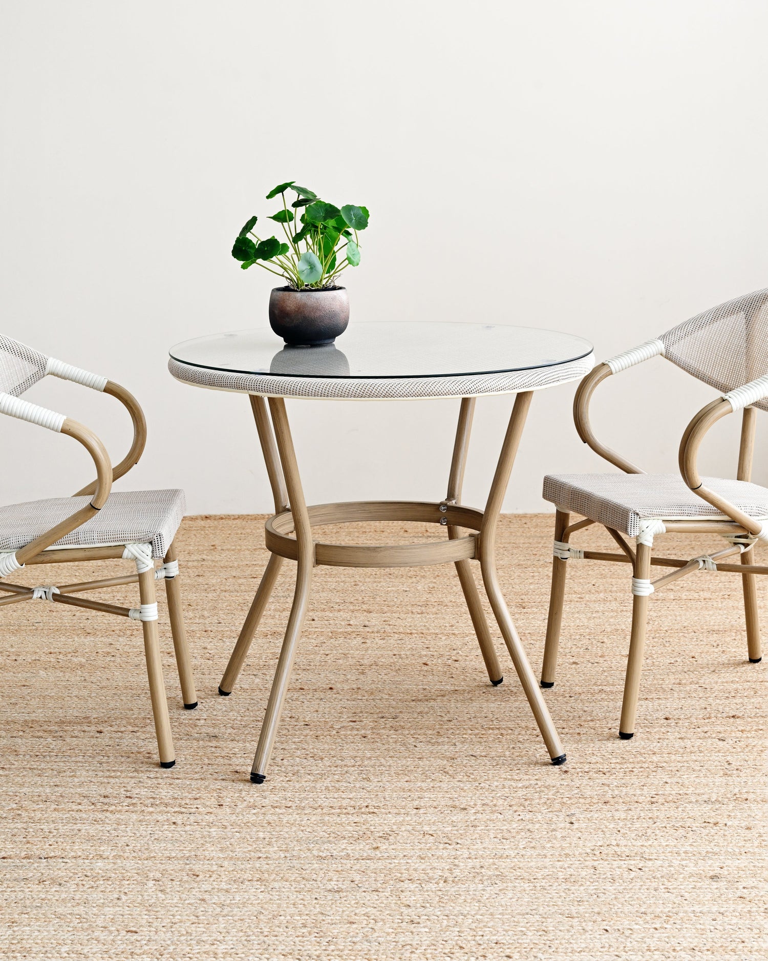 Round glass table with a plant and two chairs on a beige carpet against a white wall