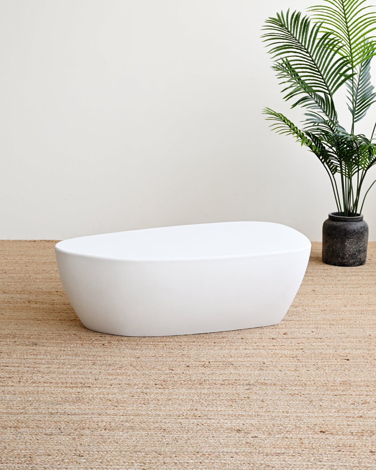 White freestanding bathtub on a wooden floor with a plant in the background