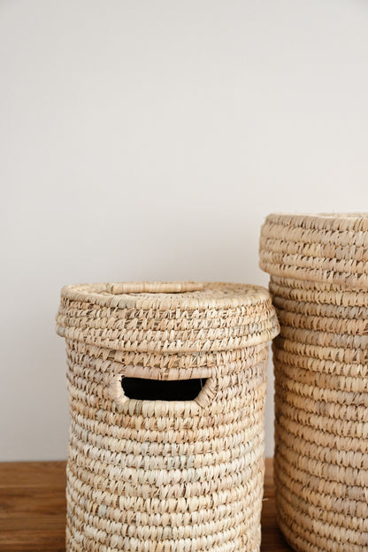Palm Cove Laundry Basket with Lid