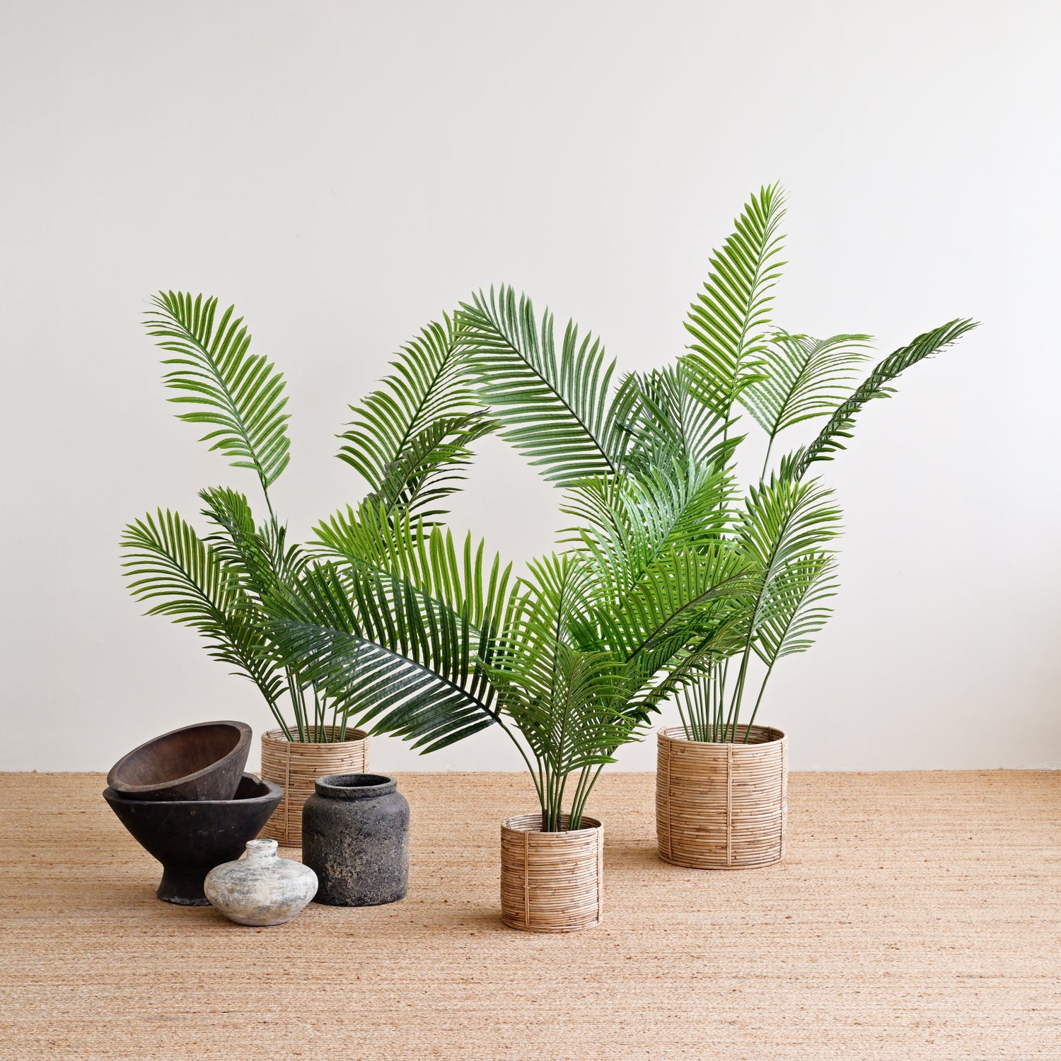 Palm Tree Plant - Faux