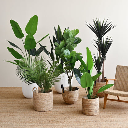 Palm Tree Plant - Faux 1