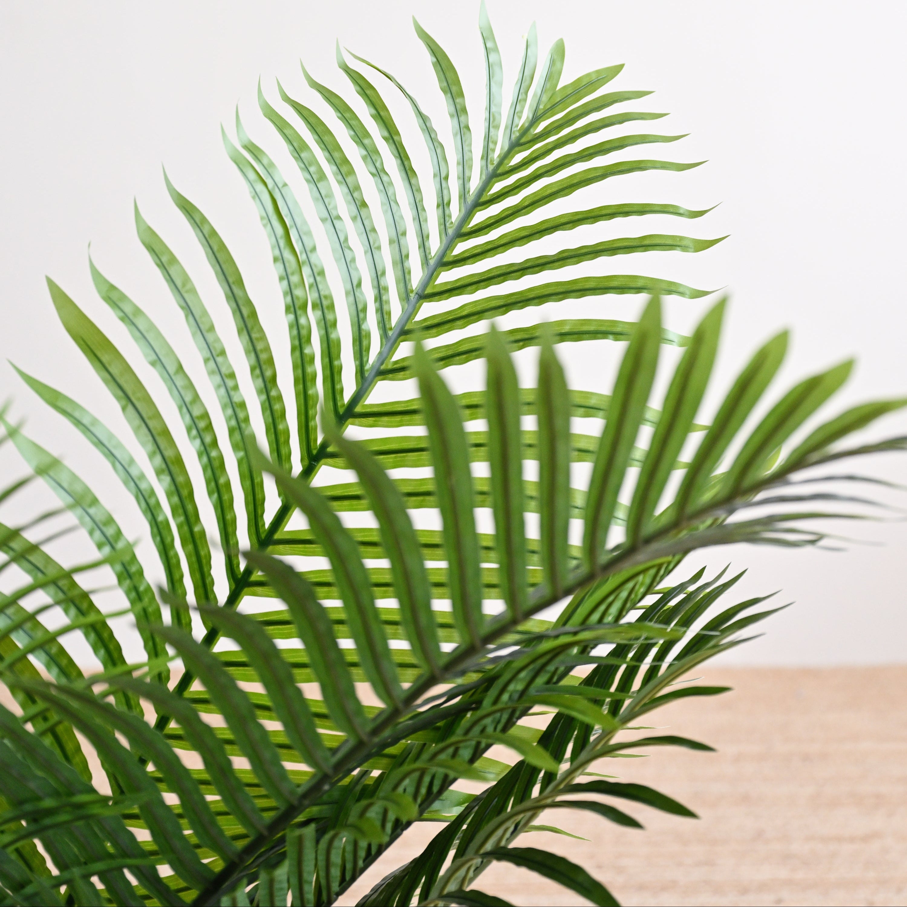 Palm Tree Plant - Faux 2