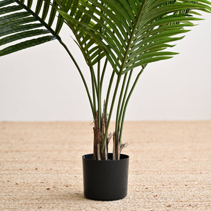 Palm Tree Plant - Faux 3