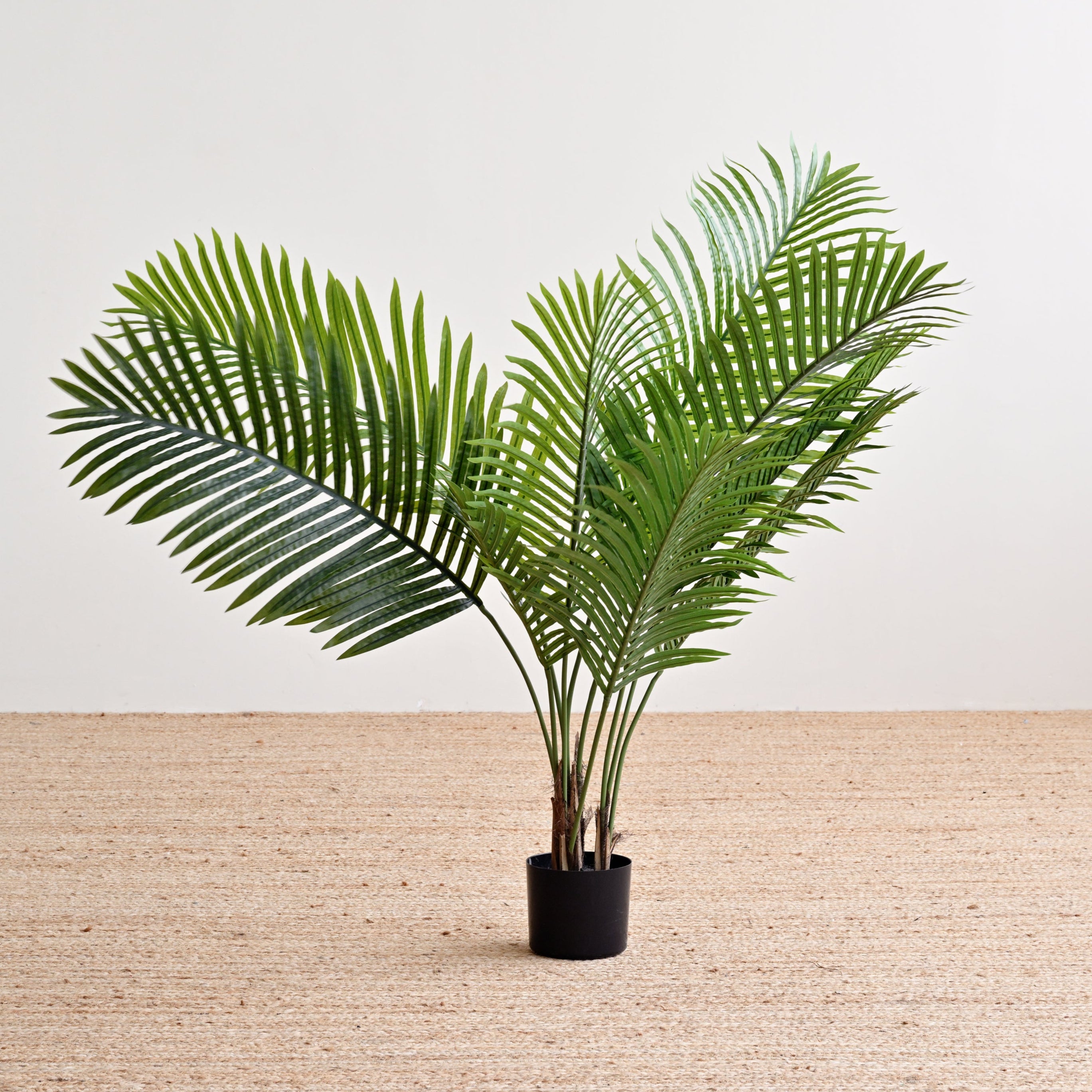 Palm Tree Plant - Faux 4