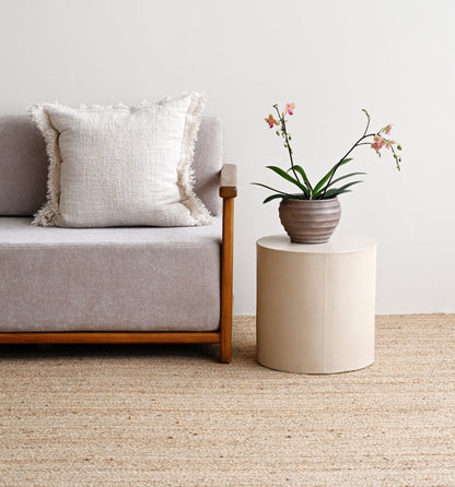 Beige carpet in a room with a sofa and a small table with a plant.