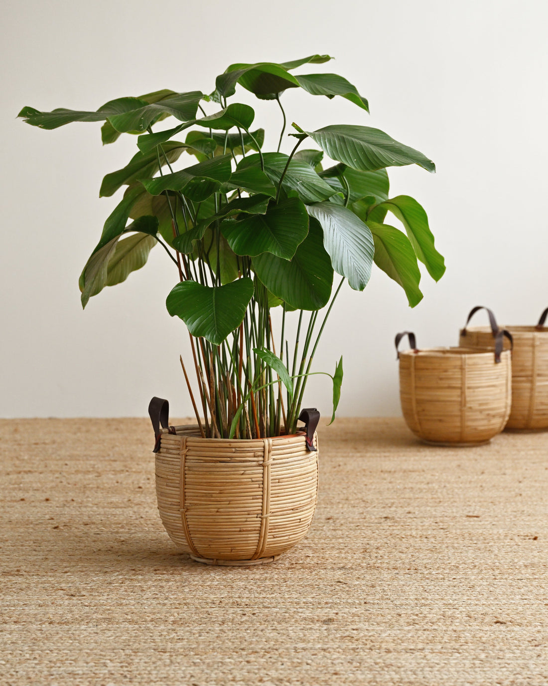 Seaside Rattan Basket with Handles