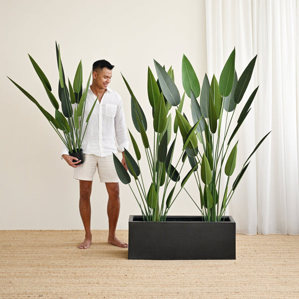 Sky Bird Plant - Faux