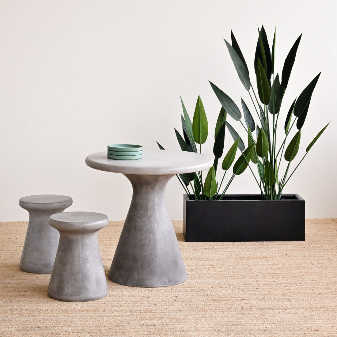 Sky Bird Plant - Faux 1
