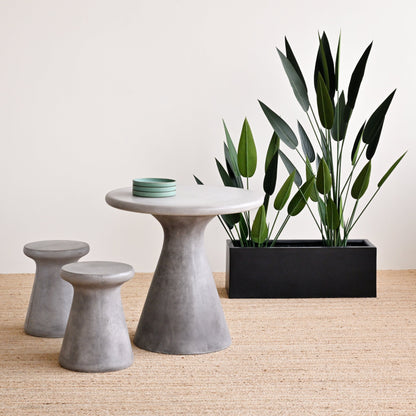 Sky Bird Plant - Faux 1