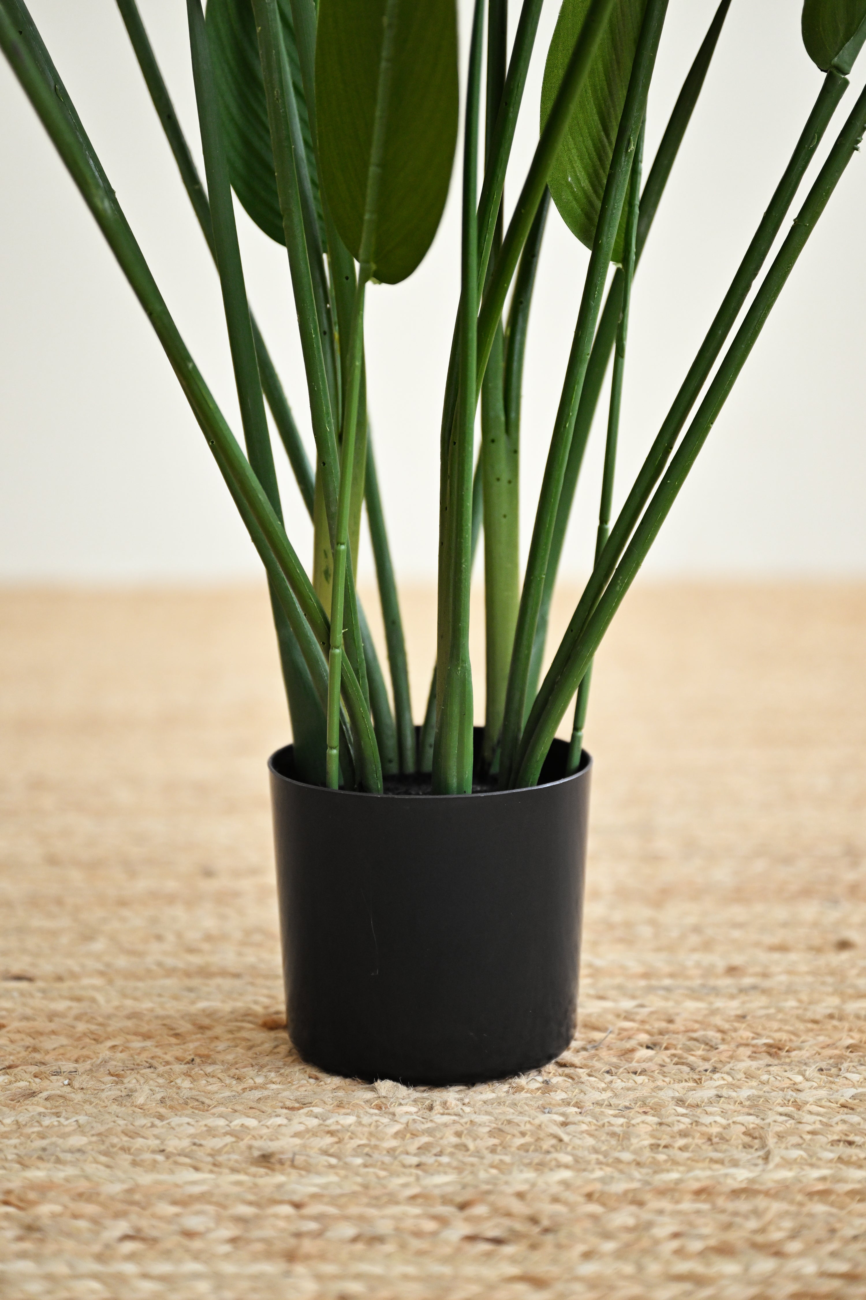 Sky Bird Plant - Faux 3