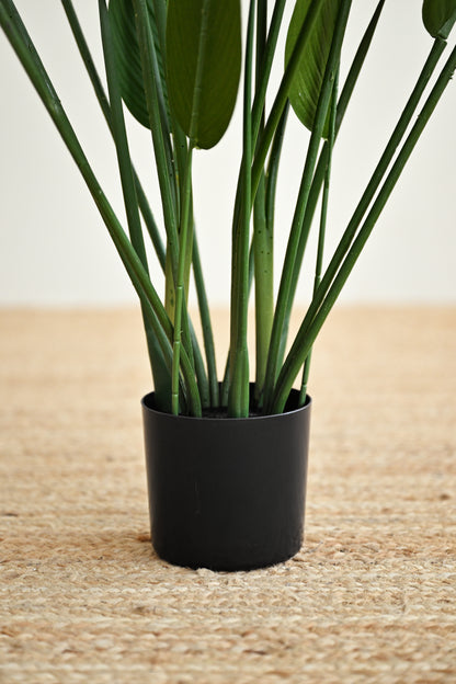 Sky Bird Plant - Faux 3