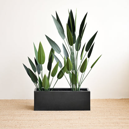 Sky Bird Plant - Faux 4