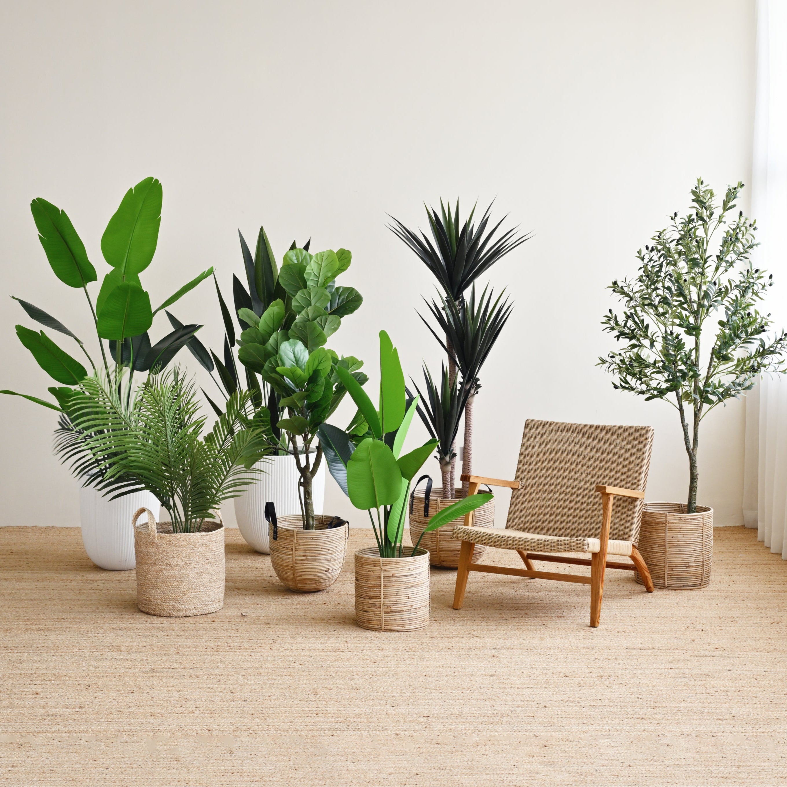 Sky Bird Plant - Faux 6