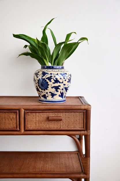 A green potted plant in a blue and cream floral ceramic pot, styled on a brown rattan console table against a plain white wall.