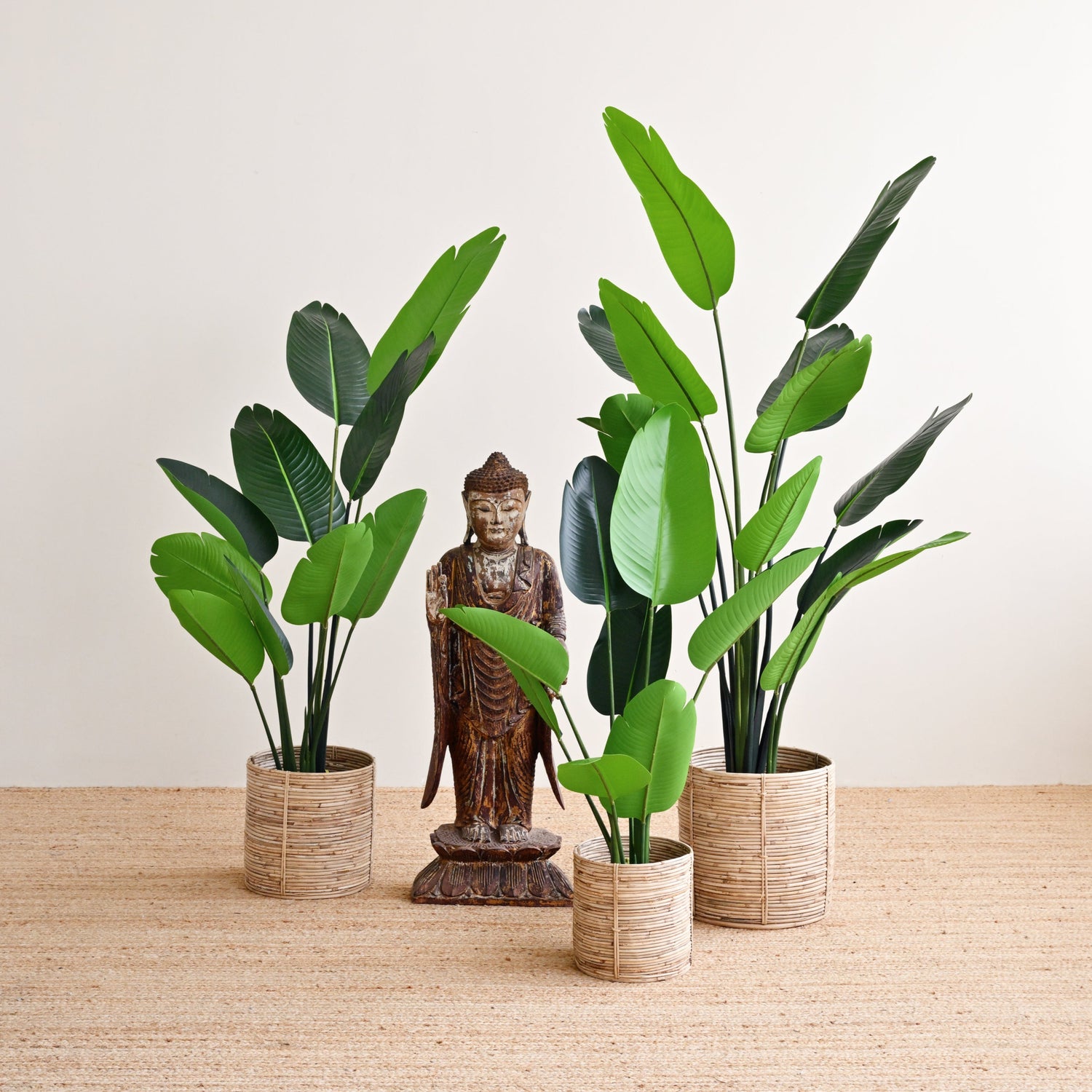 Travellers Palm Tree - Faux