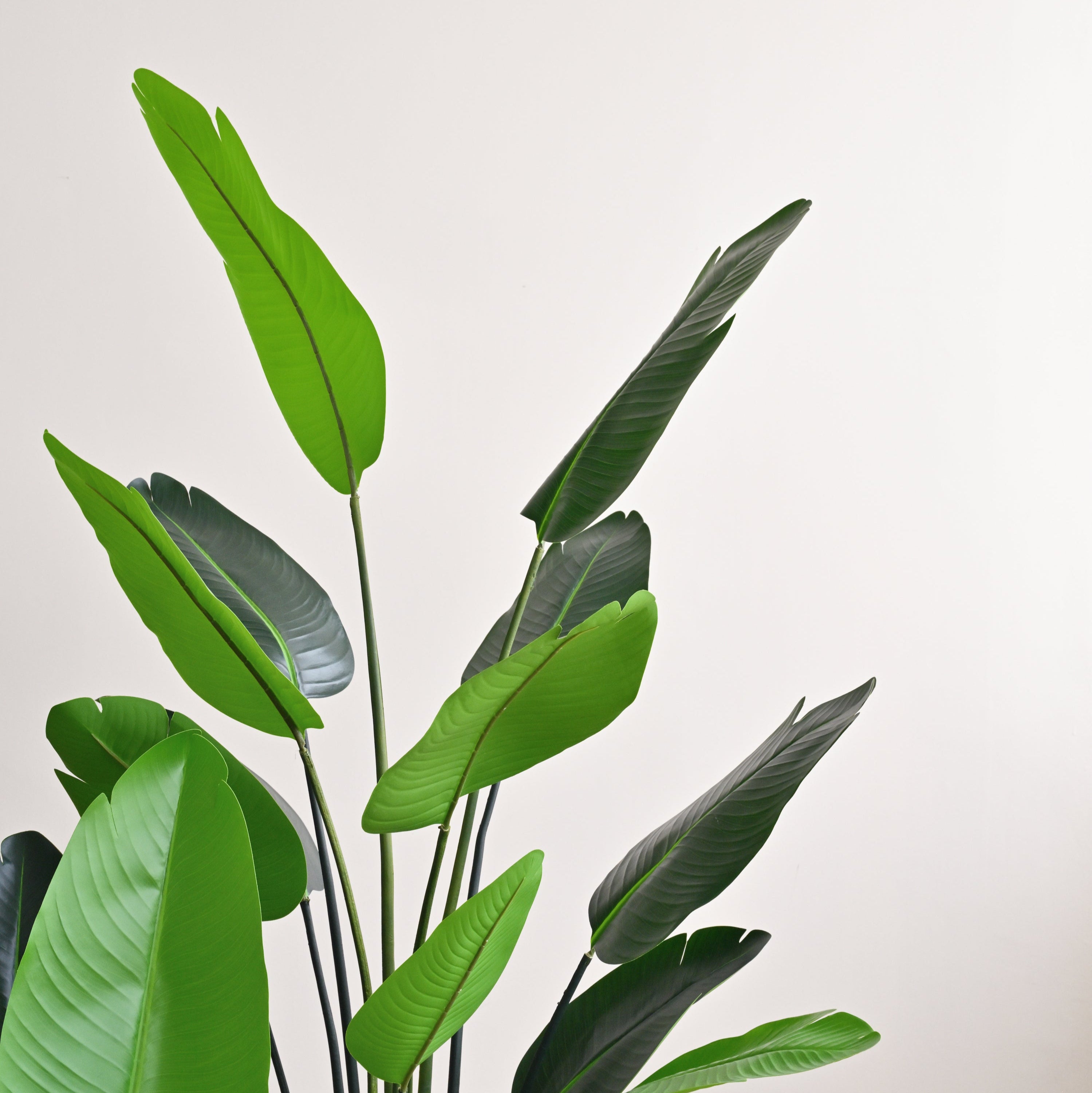 Travellers Palm Tree - Faux 2