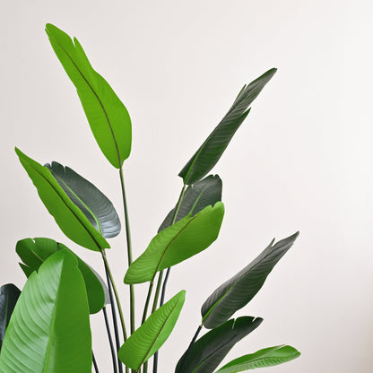 Travellers Palm Tree - Faux 2