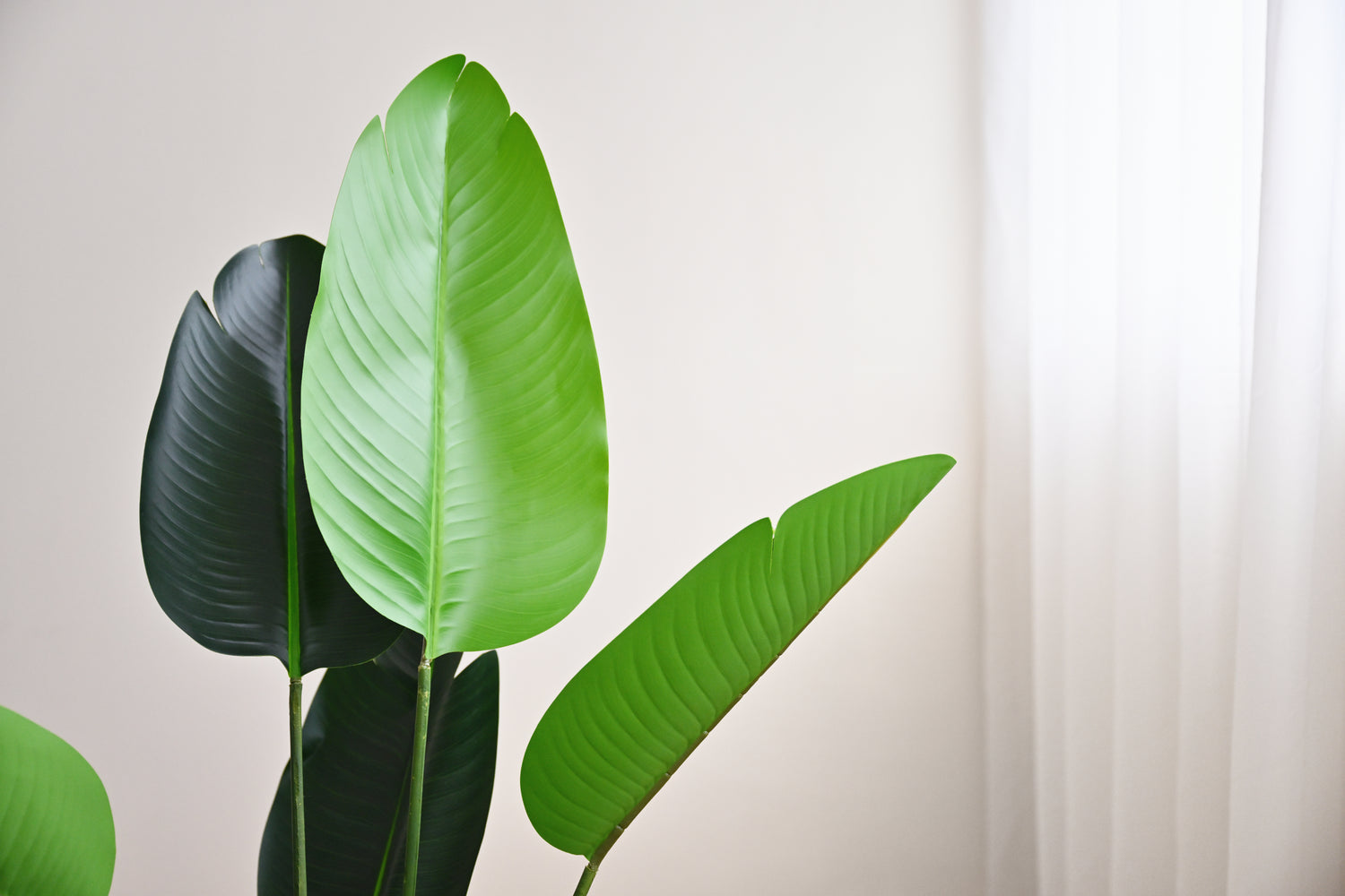 Travellers Palm Tree - Faux 4