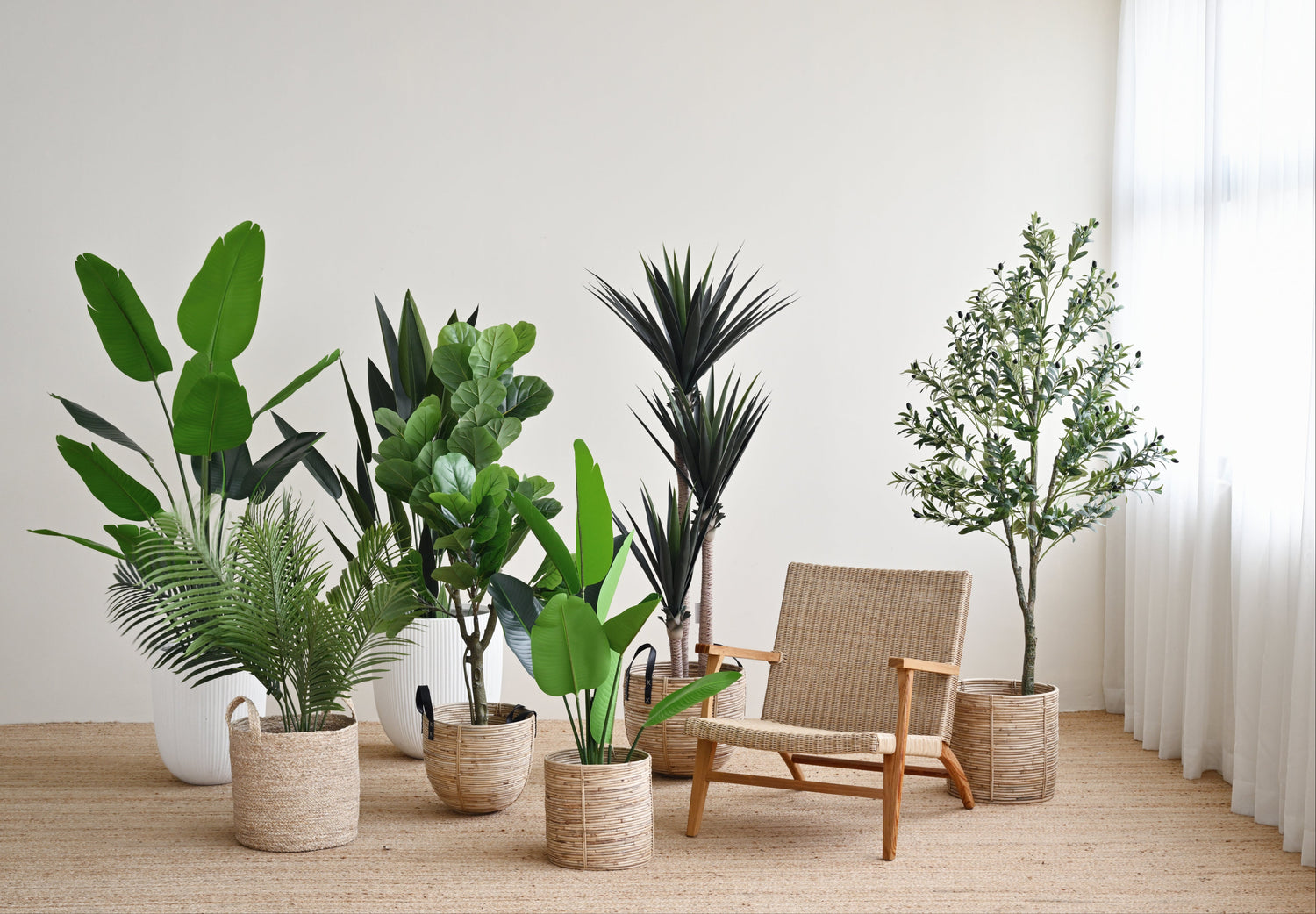 Travellers Palm Tree - Faux 5