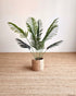 A potted artificial palm plant with green fronds in a cylindrical woven beige pot, placed on a textured beige rug against a plain off-white wall.
