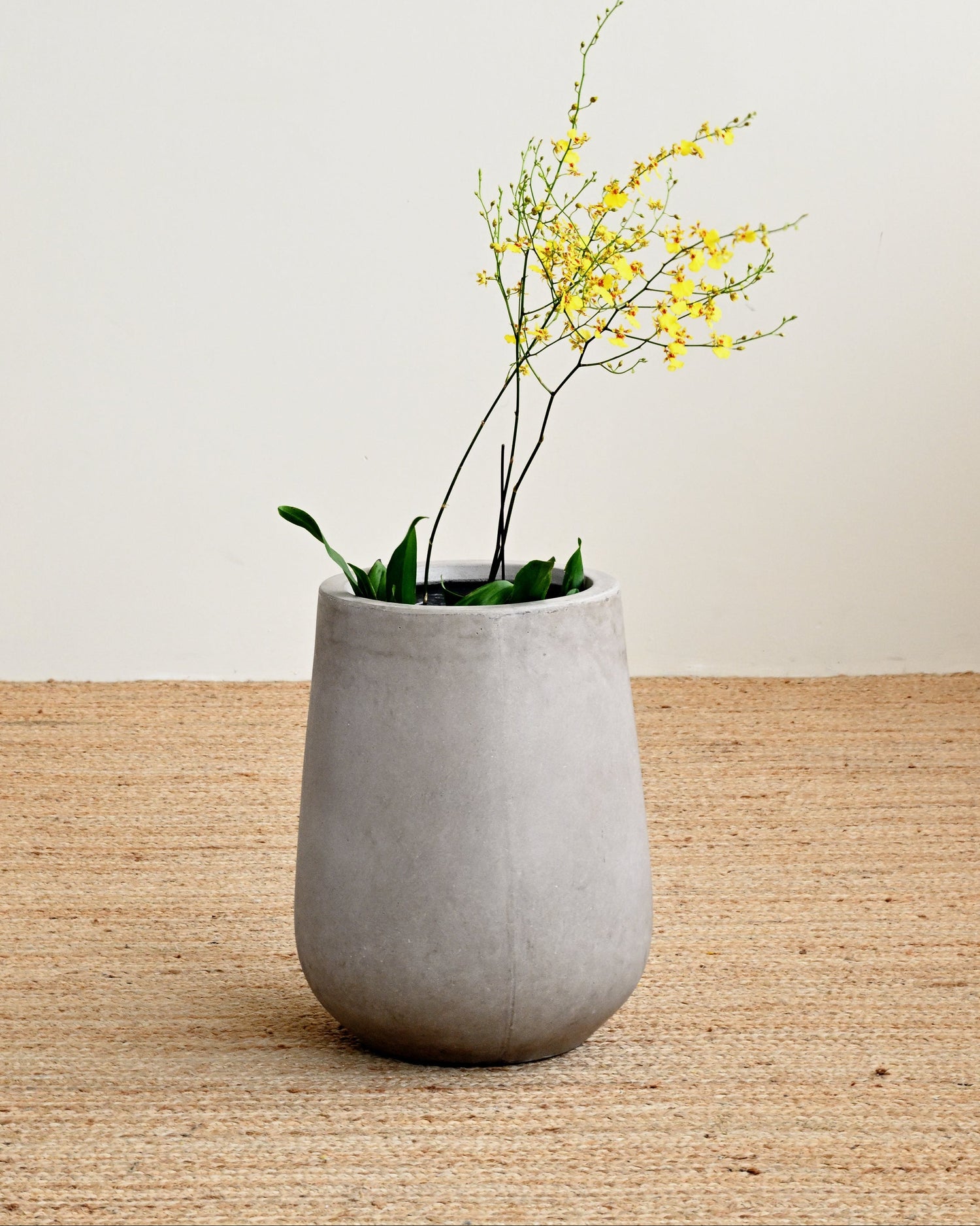 Gray ceramic planter with yellow flowers on a wooden surface