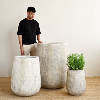 Tulip Oyster Concrete Planter