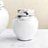 White Ginger Jars 3
