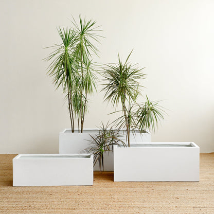 White Rectangle Planter Box