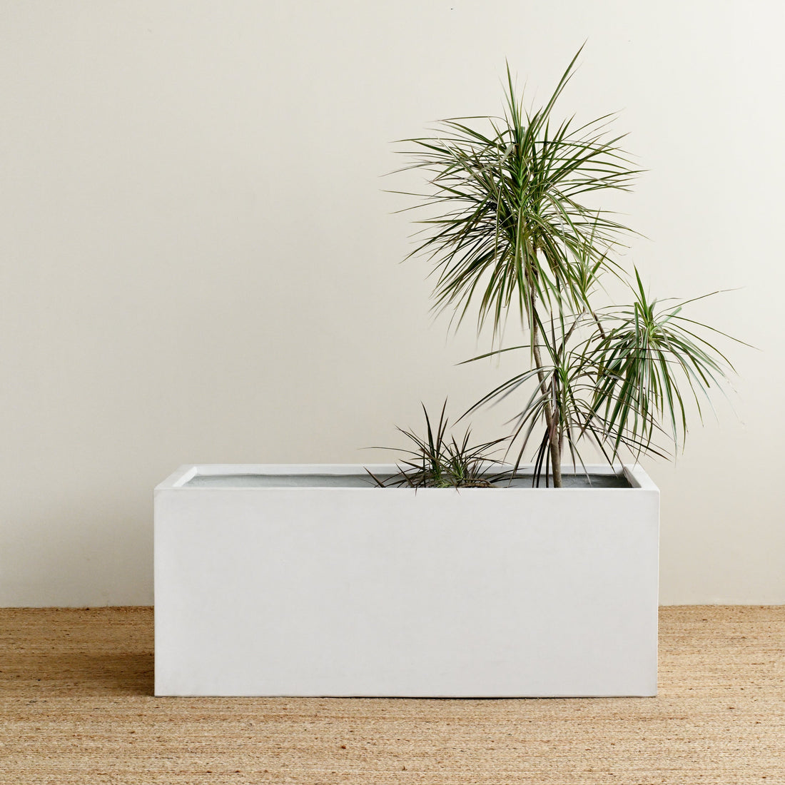 White Rectangle Planter Box 1