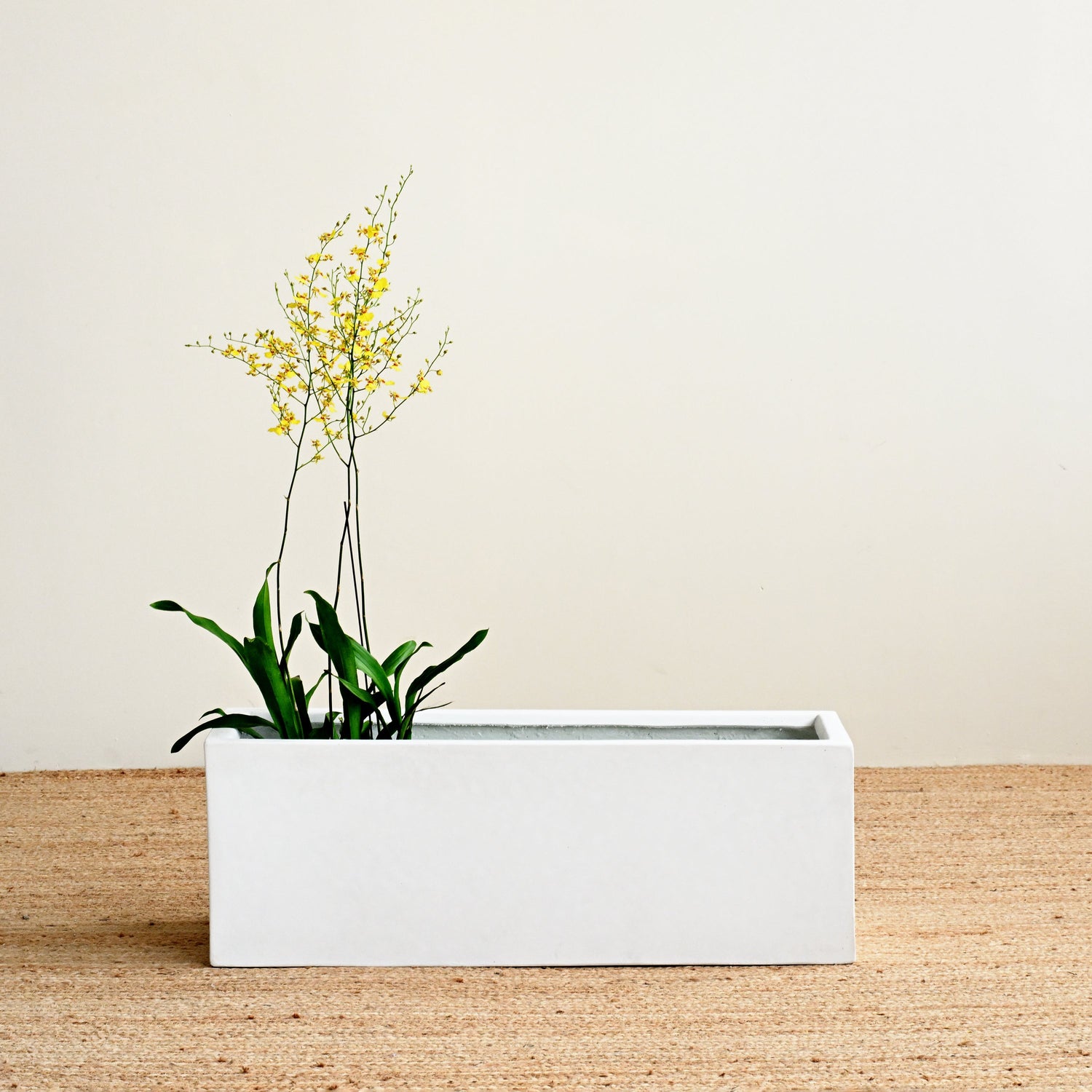 White Rectangle Planter Box 2