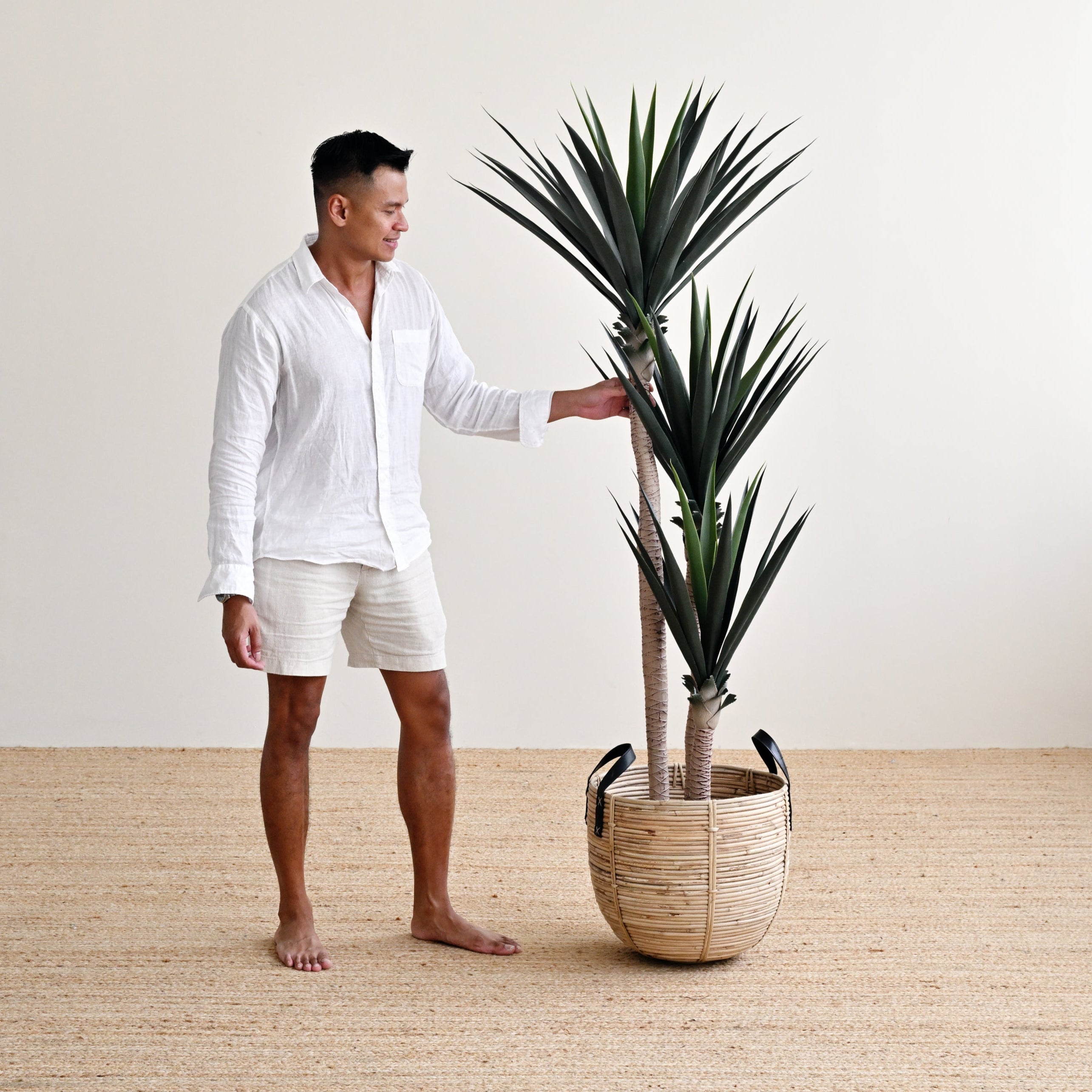 Yucca Tree with Thick Leaves - Faux