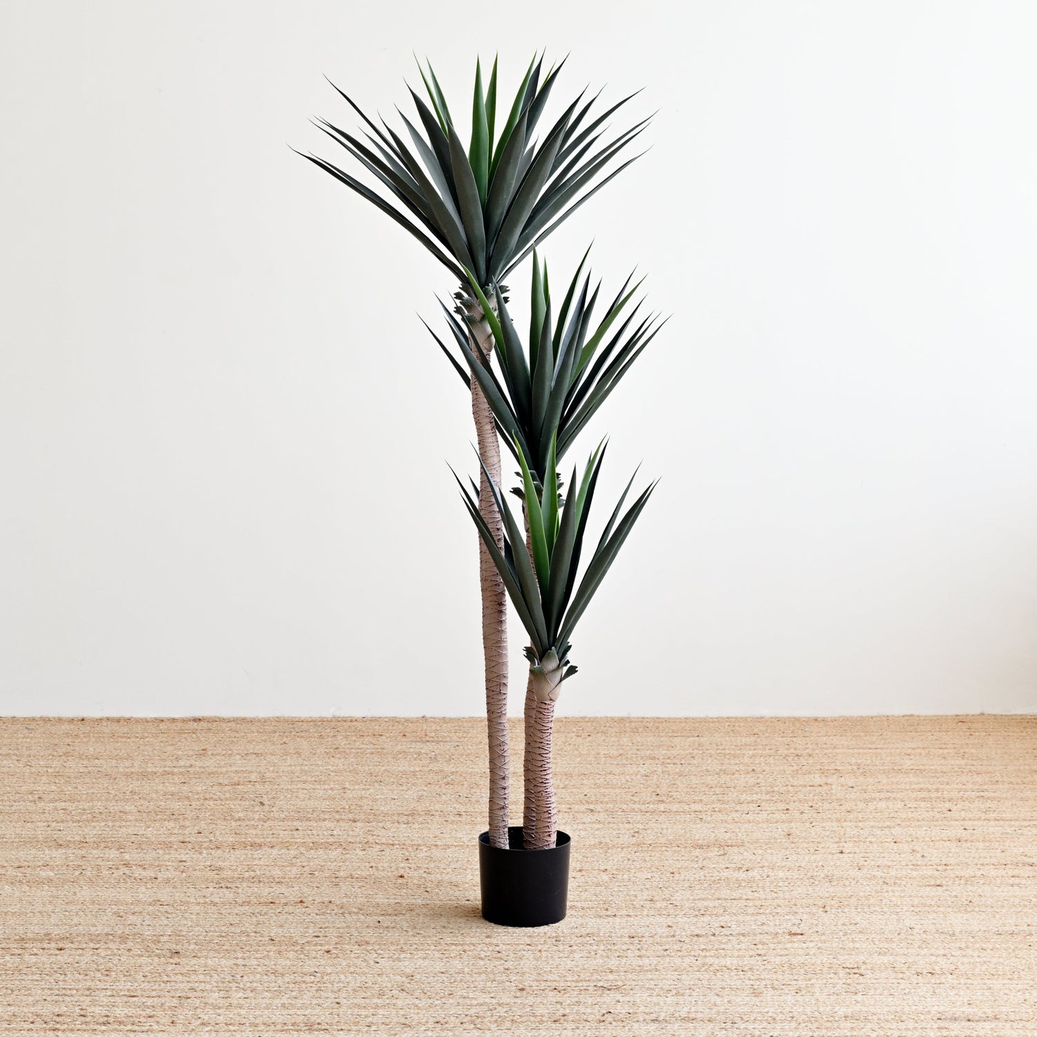 Yucca Tree with Thick Leaves - Faux 2