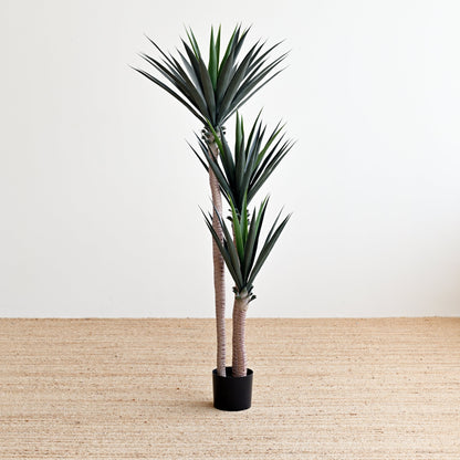 Yucca Tree with Thick Leaves - Faux 2