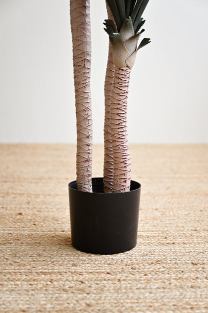 Yucca Tree with Thick Leaves - Faux 4
