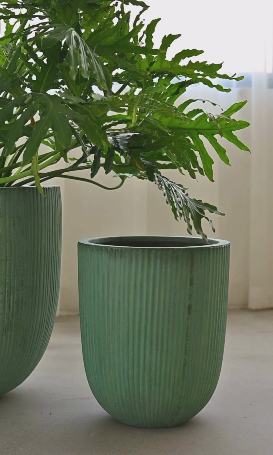 Vinh Concrete Pot - Copper Green