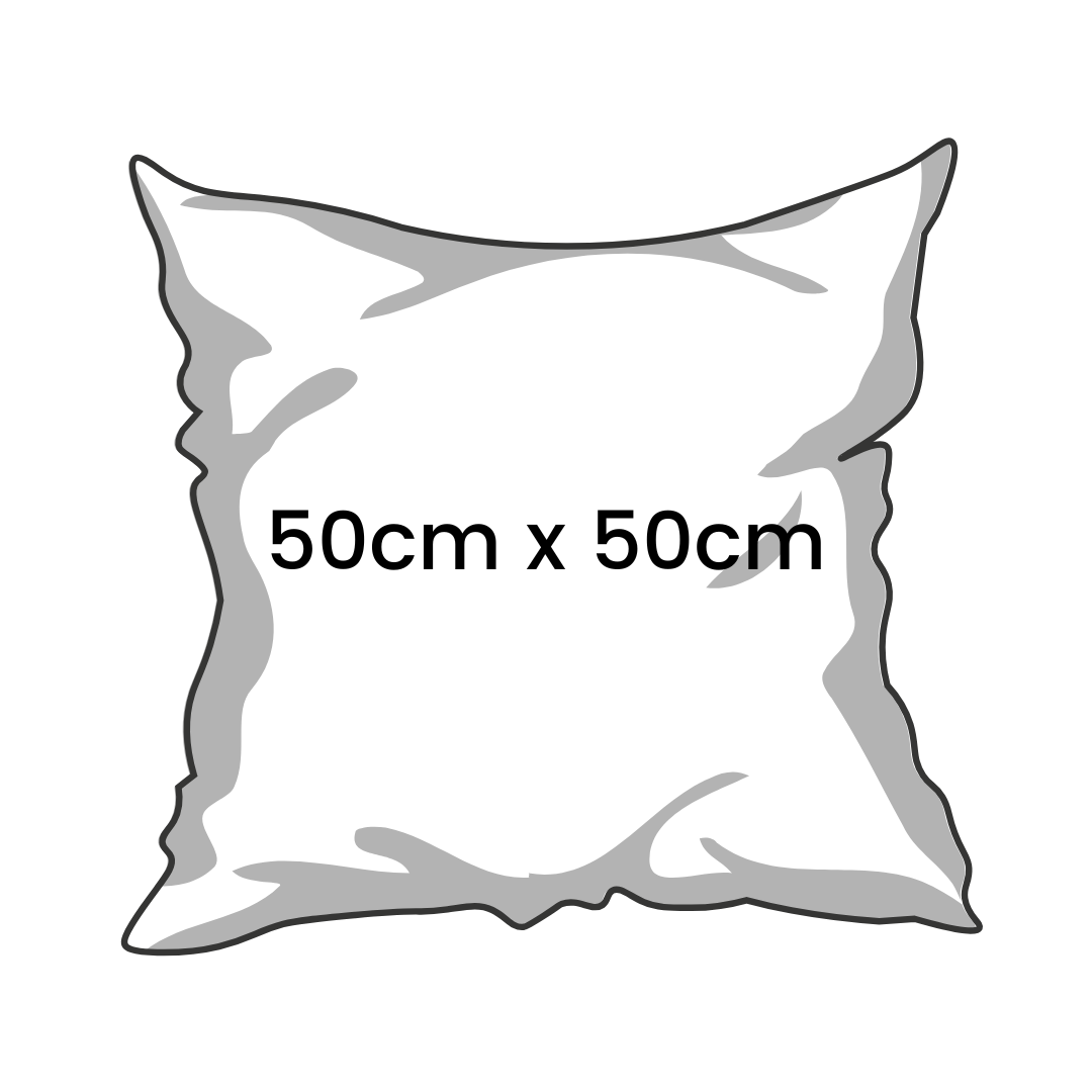 Feather Cushion Inserts (By Ikea)