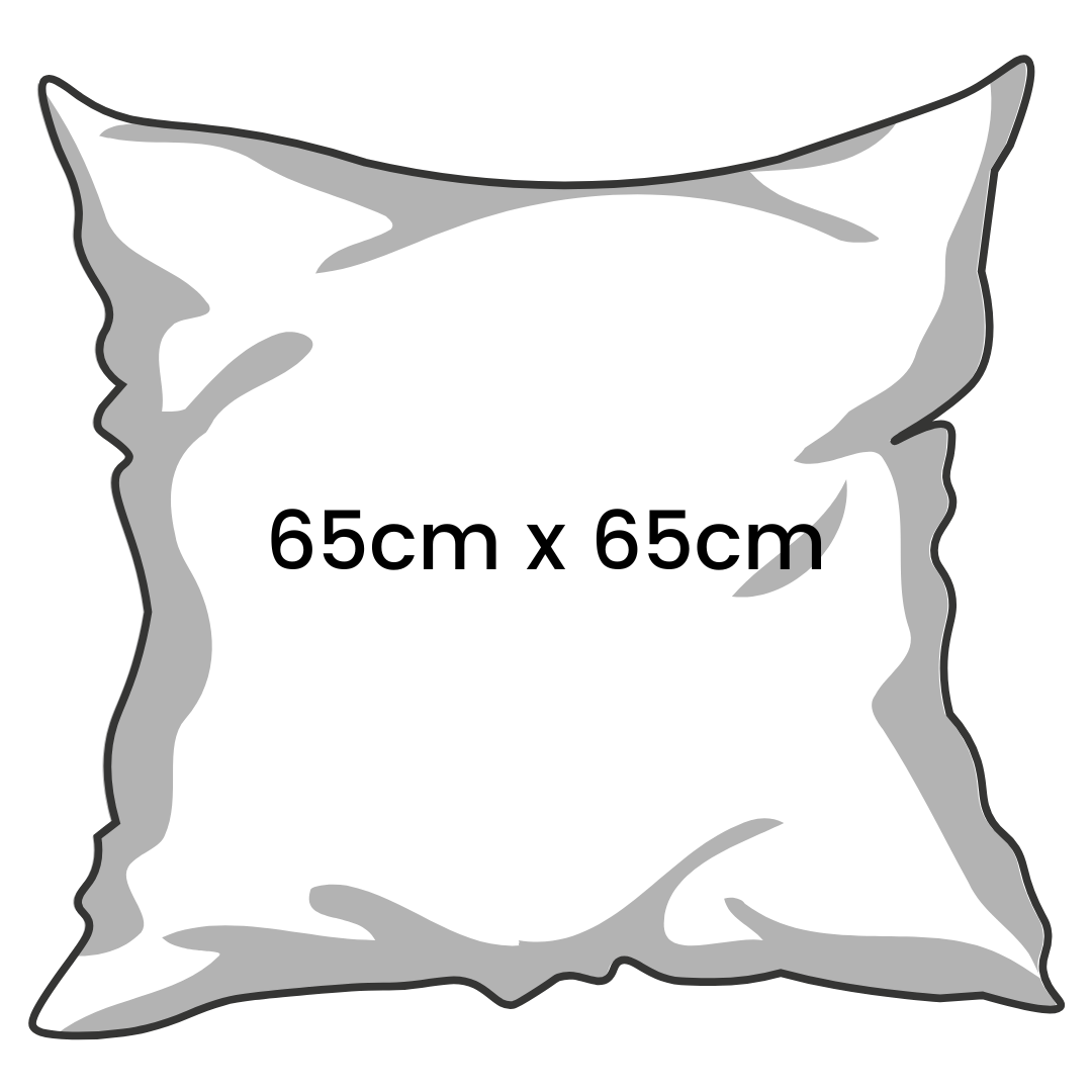 Feather Cushion Inserts (By Ikea)