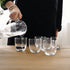 Salut Tumbler (Set of 6)