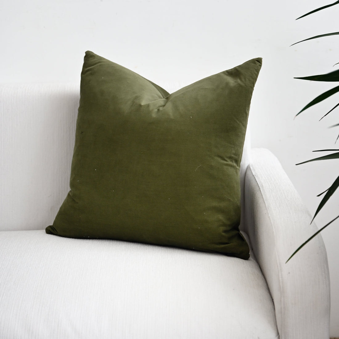 Tui Oregano Square Cushion