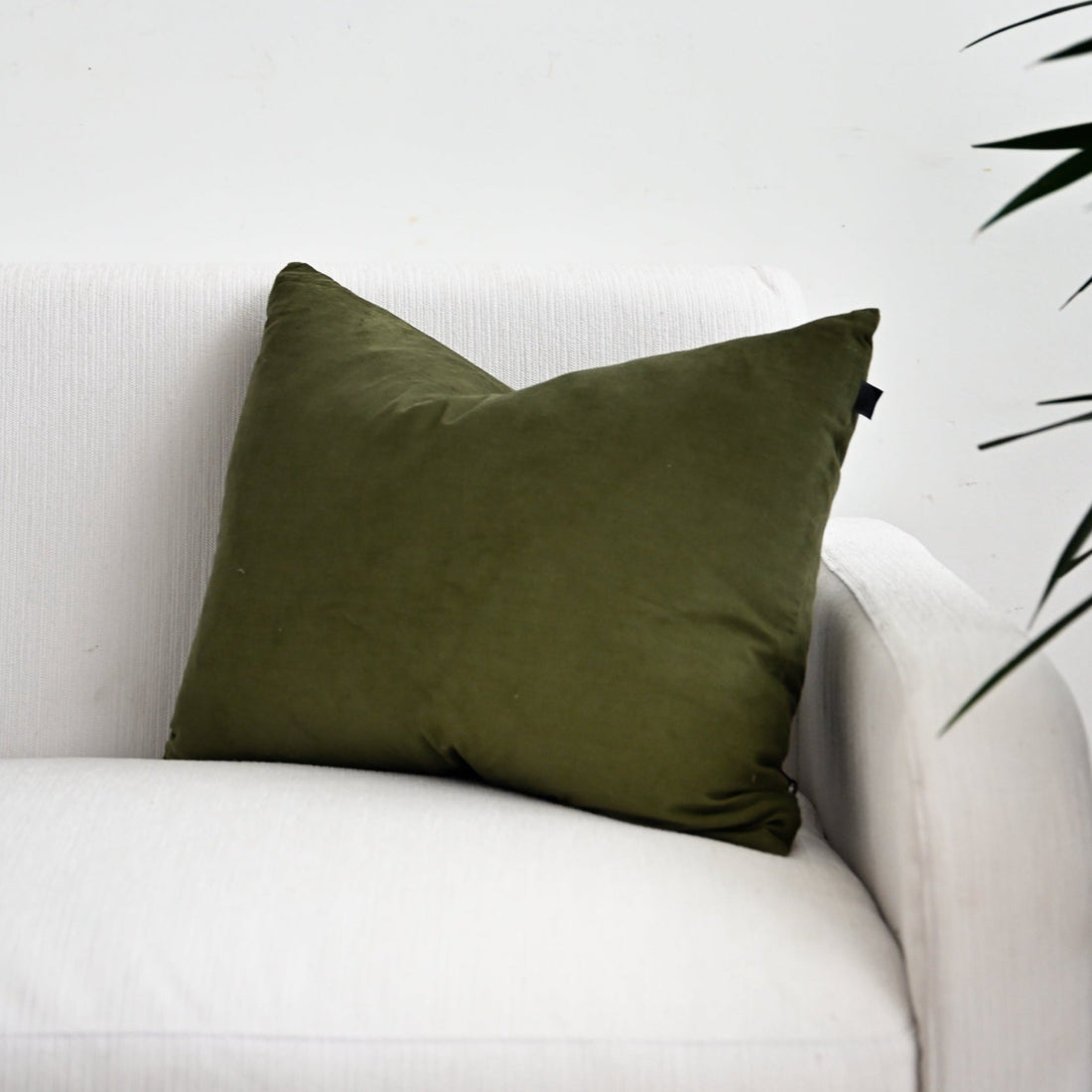 Tui Oregano Lumbar Cushion