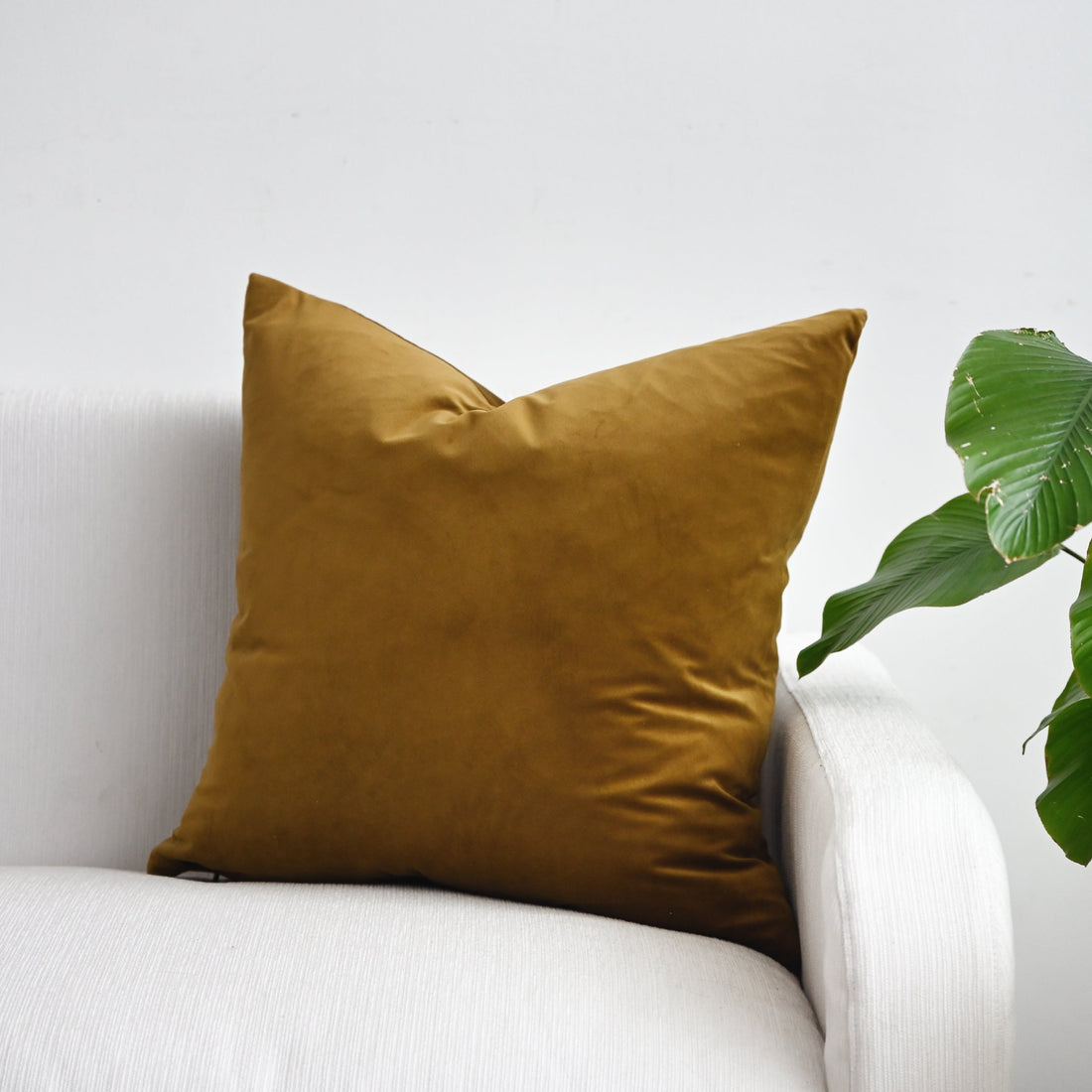 Ivy Cumin Velvet Square Cushion