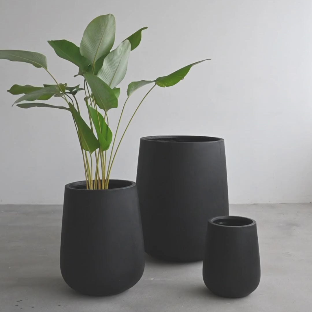 Tulip Black Pot