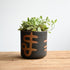 Abas Decorative Flowerpot