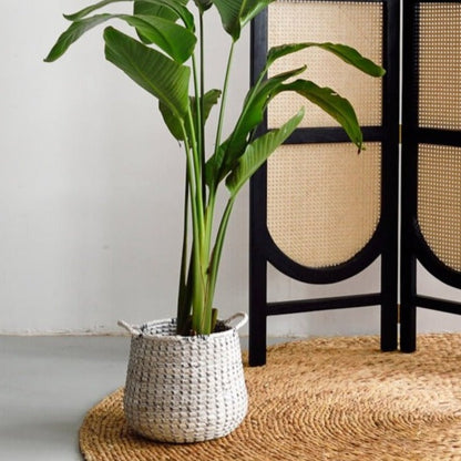 Seagrass Basket with Rope Handles